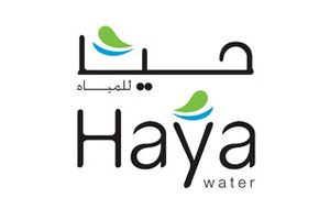 techno-haya-logo